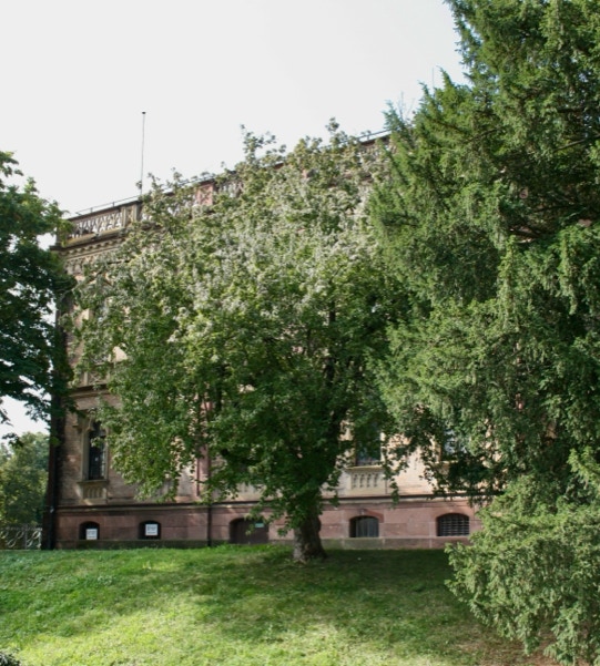 Blick auf das Colombischloss mit Park